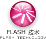 FLASH技术